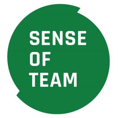 Sense of Team