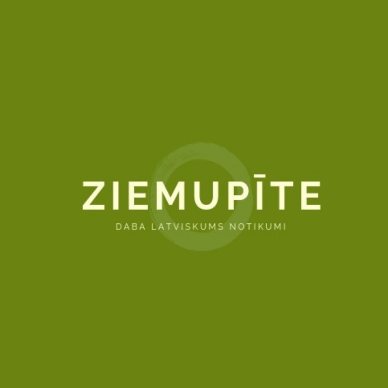 Biedrība Ziemupīte
